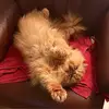 Sandra Mohr - @sandra.mohr3 - TikTok