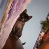 Sandra Moldovan - @cont_cu_de_toate917 - TikTok