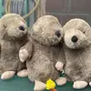 sandra and the moles x - @sandra_and_the_moles - TikTok
