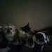 Sandra Ellen Molitor - Facebook