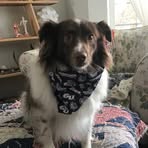 Sandra Monaghan - Facebook