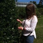 Sandra Monaghan - @smonagh_1 - Instagram