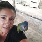 sandra moncrieff - @moncrieff_sandra - Instagram