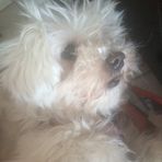 Sandy Monteleone - Facebook