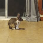 Sandra Montrose - Facebook