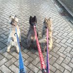 Sandra Moorman - @moorman.sandra - Instagram