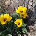 Sandra Moorman - Facebook