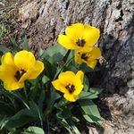 Sandra Moorman - @sandra.moorman.984 - Instagram