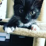 miku - @sandra.mooses142019 - Instagram