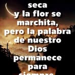 Sandra Morelos - Facebook