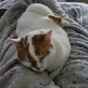 Sandra Moroz - @lord19795 - TikTok
