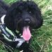 Sandra Mortimer - Facebook