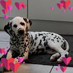 Sandra Moser - @1sandra_moser - Instagram