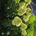 Sandra Moser - Facebook