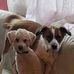 Sandra Mote - Facebook