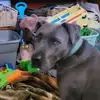 Sandra Motes - @sandra.motes2 - TikTok