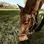 Sandra Motet - @sandramotet - Instagram