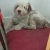 Sandy Moynihan - Facebook