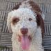 Sandy Moynihan - Facebook