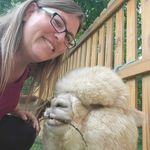 Sandra M. Adams Mozingo - @sandramozingo - Instagram