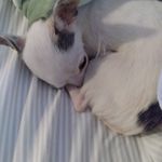 Sandra Mozingo - @sandramozingo9 - Instagram