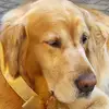 Sandra Mucci192 - @user9464423622236 - TikTok