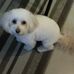 Sandra Muir - Facebook