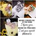 Sandie Kelley Munson - Facebook