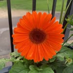 Sandy Munson - @sandy.munson - Instagram