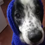 Sandra Echenique Murga - @sandra19i - Instagram