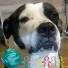 Sandra Muro - @sandra.muro83 - TikTok