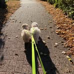 Sandra Muth - Facebook