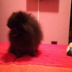 Muto sandra - @sandra_muto_ - Instagram