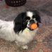 Sandra Nabors - Facebook