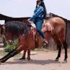 sandy - @sandranallelymartinez0 - TikTok