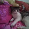 sandrananni0 - @sandrananni0 - TikTok