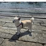 Sandra - @sandranardone17 - Instagram