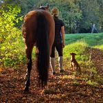 Sandra Naß - @querfeldein_durchs_leben - Instagram