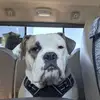 Sandra Nass - @sandra.nass - TikTok