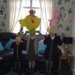 Sandra Needham - @sandran1962 - Instagram