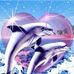 Sandra Needham - Facebook