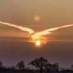 Sandra Needham - @sandra.needham.988 - Instagram