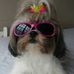 Sandra R. Cavaglieri Neis - Facebook
