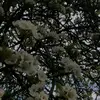 sandraneubert45 - @sandraneubert45 - TikTok
