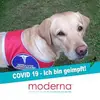 sandraneubert577 - @sandraneubert577 - TikTok