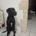 Sandra Neveu - Facebook