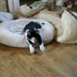 Sandra Newsome - @sandra.newsome.58 - Instagram
