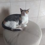 Sandra Nezzi - @sandra.nezzi.7 - Instagram