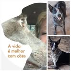 Sandra Nicoletti - Facebook