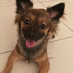 Sandra Radaeli Nicoletti - @sandra_radaeli_nicoletti - Instagram